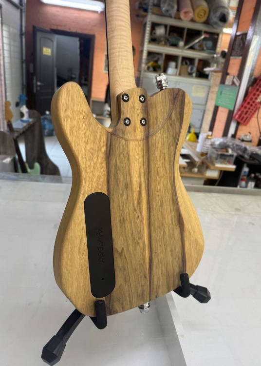 TL-Custom